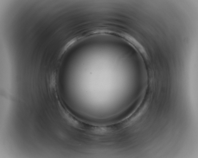X0000114560945200910191429