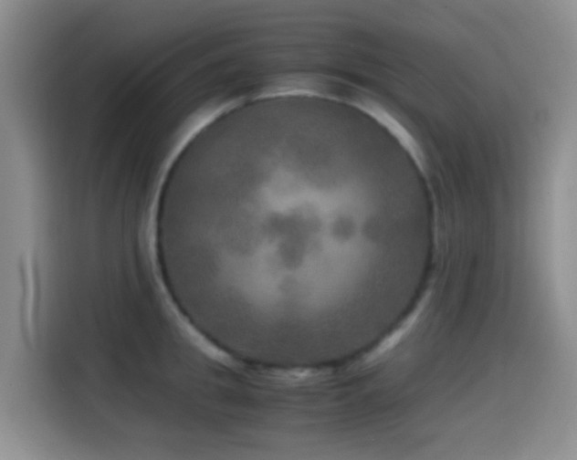 X0000114560949200910191429