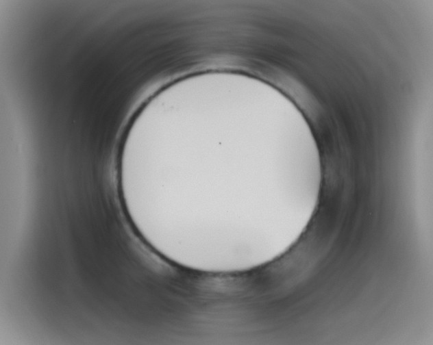 X0000114560950200910191429