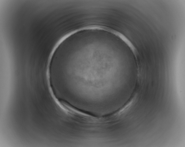X0000114560951200910191429