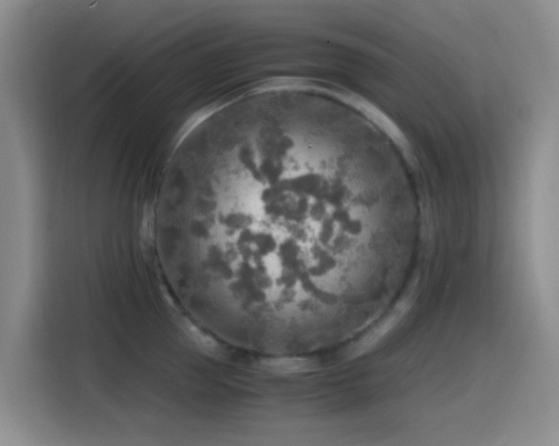 X0000114560953200910191429