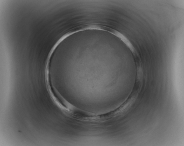 X0000114560955200910191429