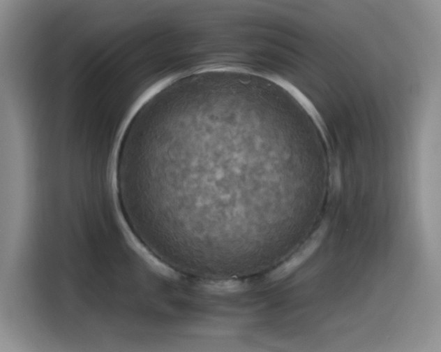 X0000114560957200910191429
