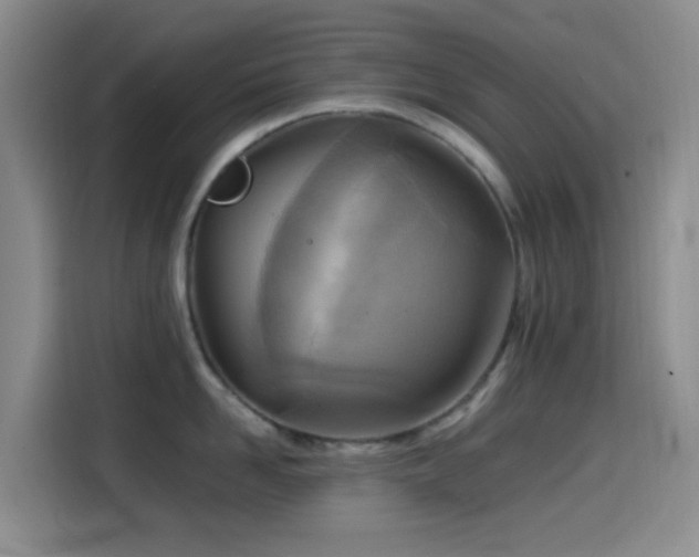 X0000114560958200910191429