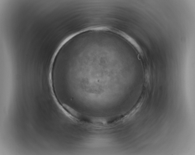 X0000114560959200910191429