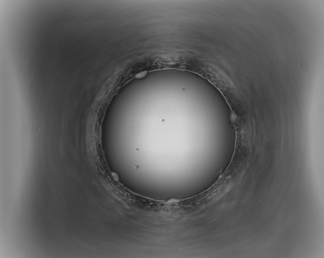 X0000114560961200910191428