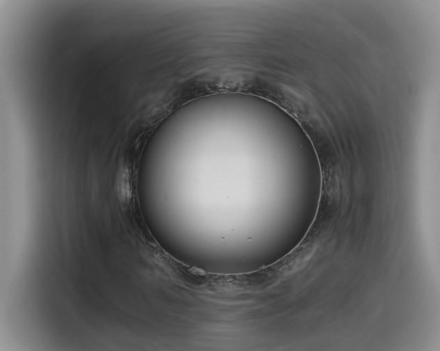 X0000114560962200910191428