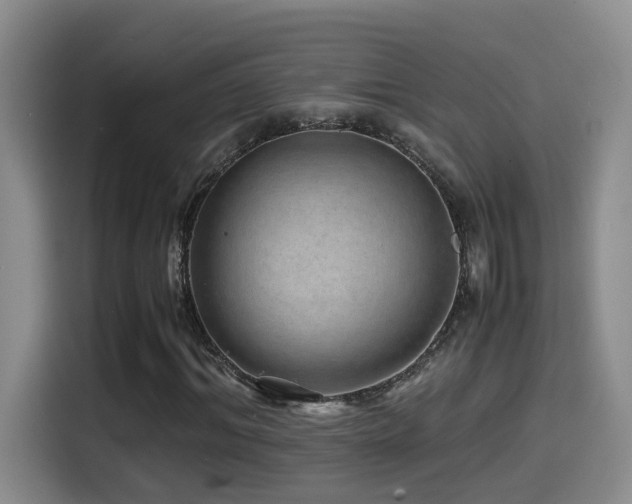 X0000114560964200910191428