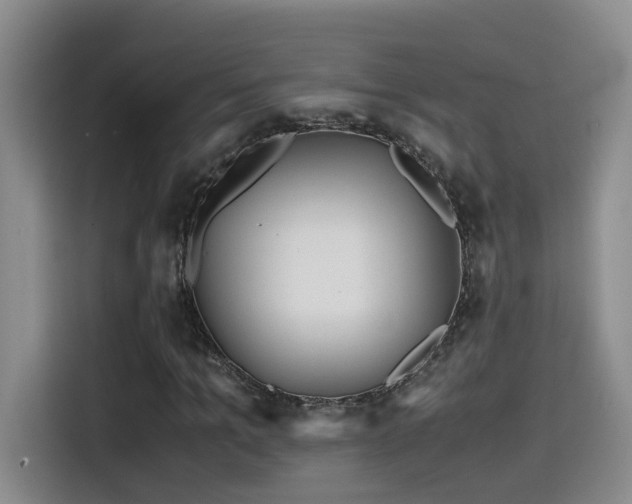 X0000114560965200910191428