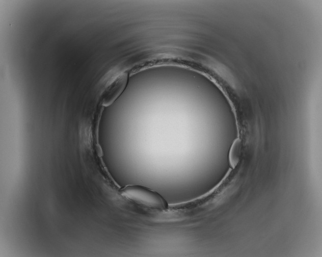 X0000114560969200910191428