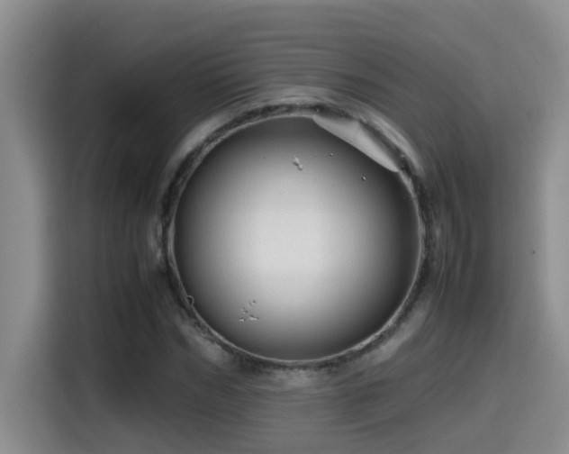 X0000114560970200910191428