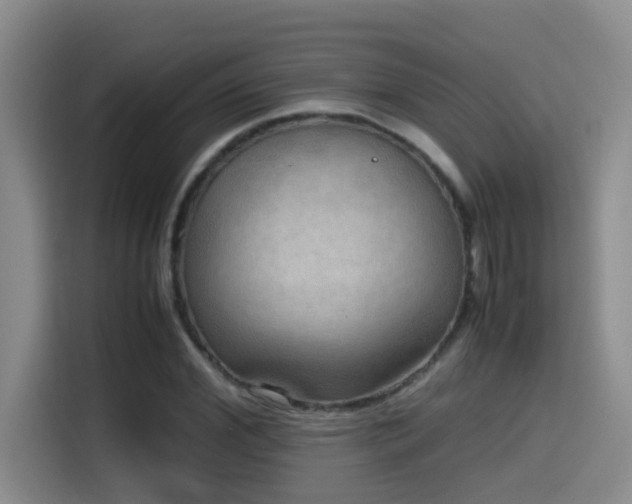 X0000114560972200910191428