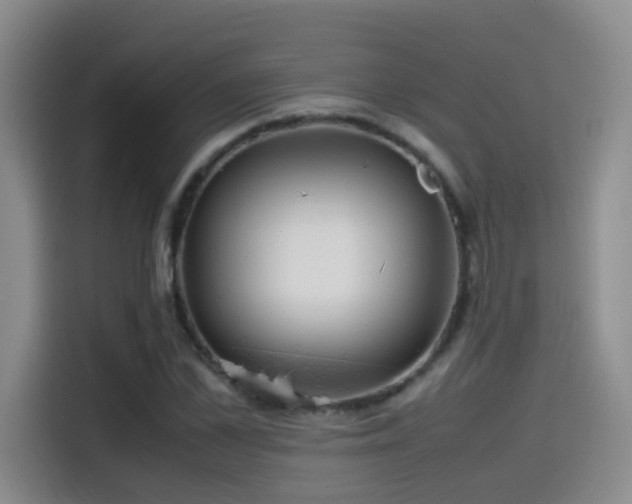 X0000114560973200910191428