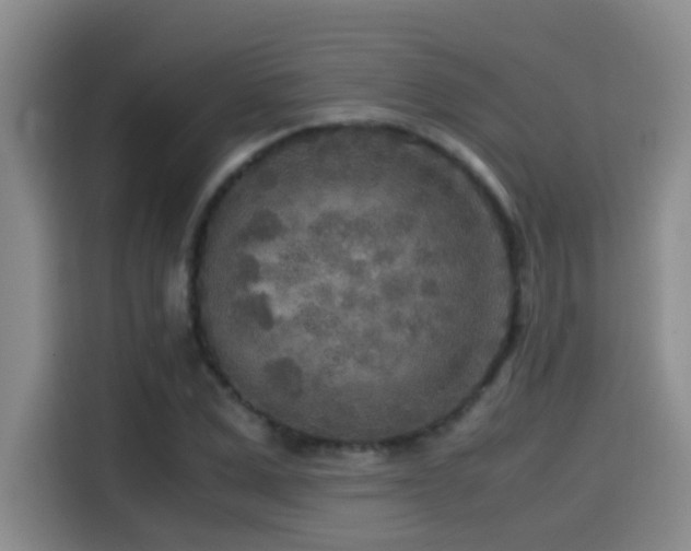 X0000114560975200910191428