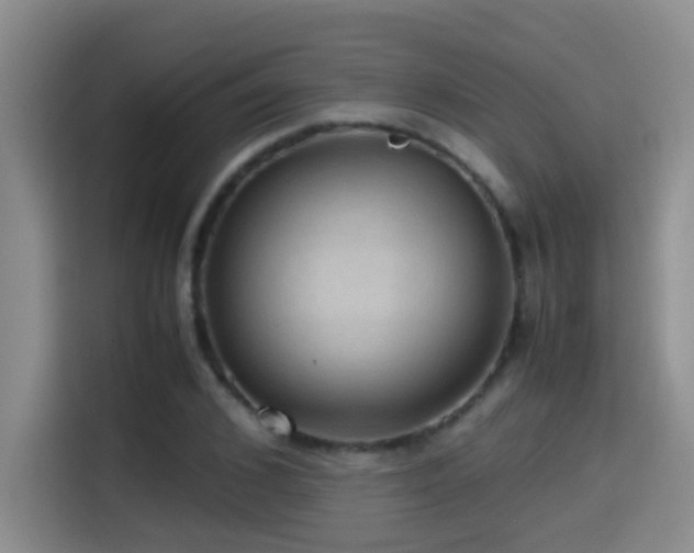 X0000114560976200910191428