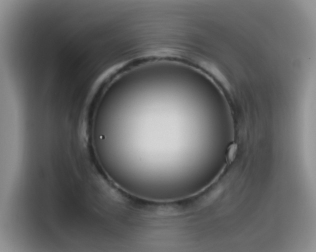X0000114560979200910191428