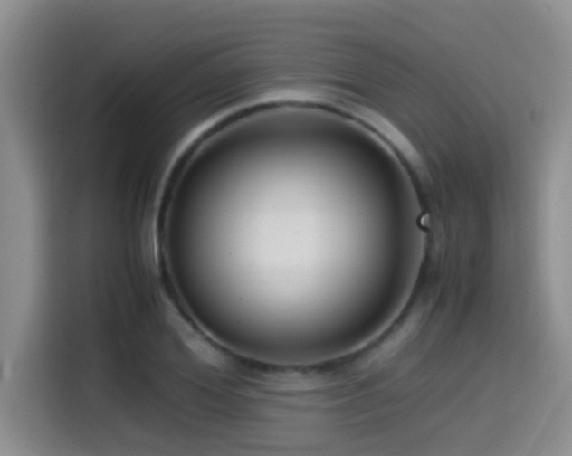 X0000114560980200910191428