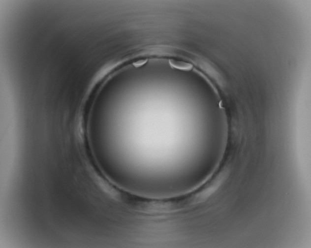 X0000114560981200910191428