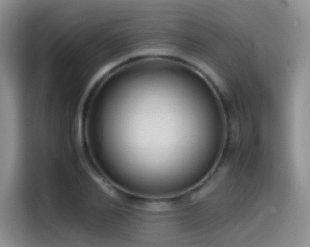 X0000114560982200910191428