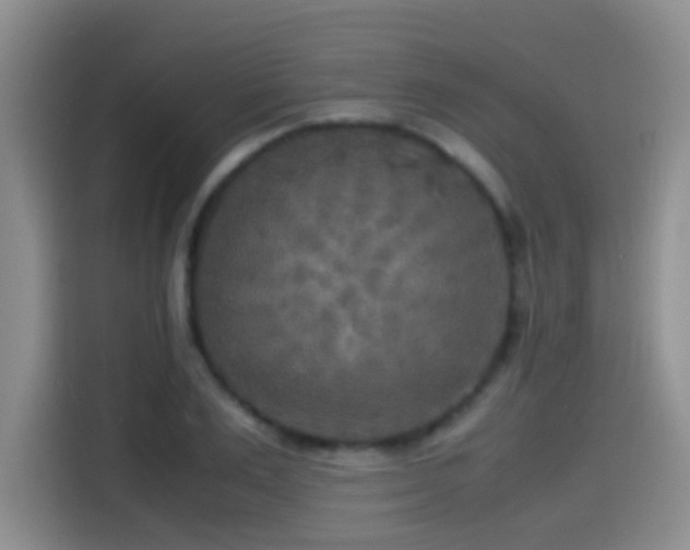X0000114560983200910191428