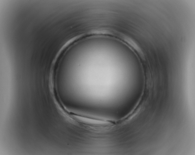 X0000114560984200910191428