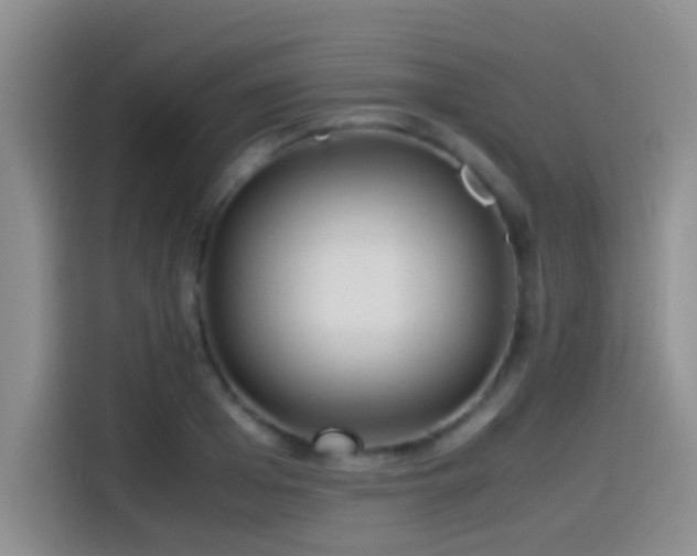X0000114560985200910191428
