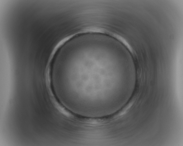 X0000114560987200910191428