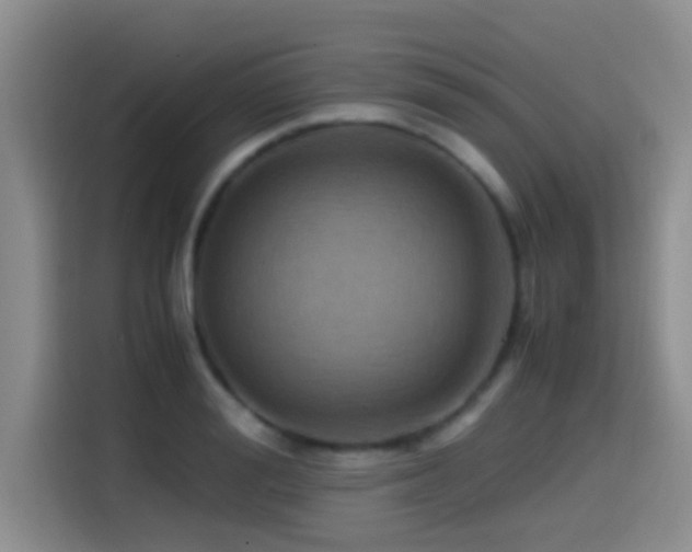 X0000114560988200910191428