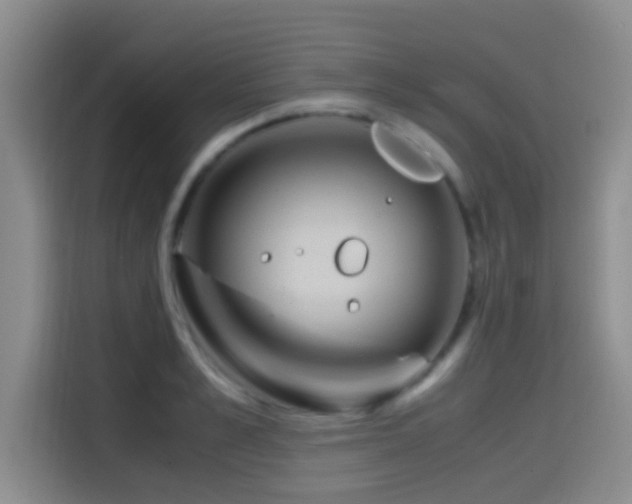 X0000114560989200910191428
