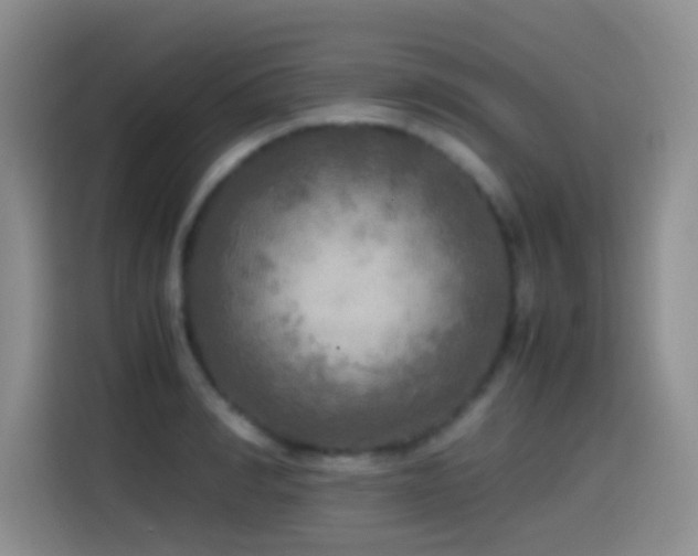 X0000114560990200910191428