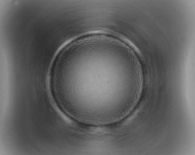 X0000114560991200910191428