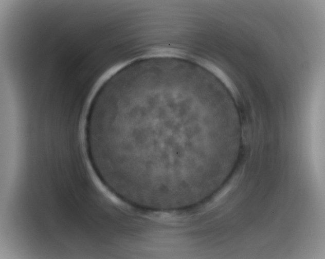 X0000114560995200910191428