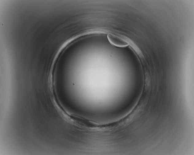 X0000114560996200910191428