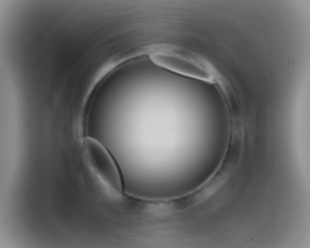 X0000114560997200910191428