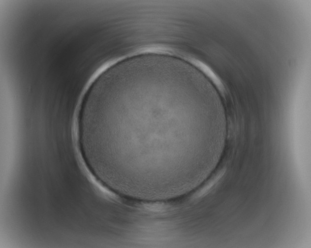 X0000114560999200910191428