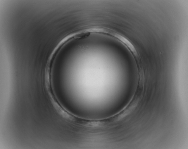 X0000114561000200910191428