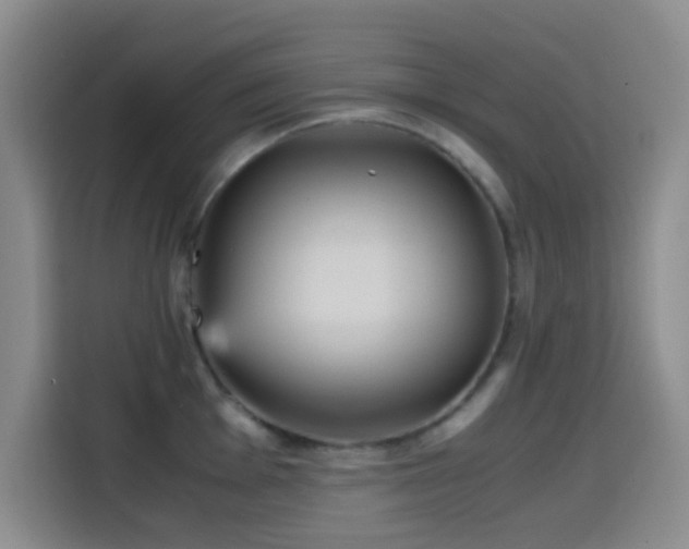 X0000114561001200910191428