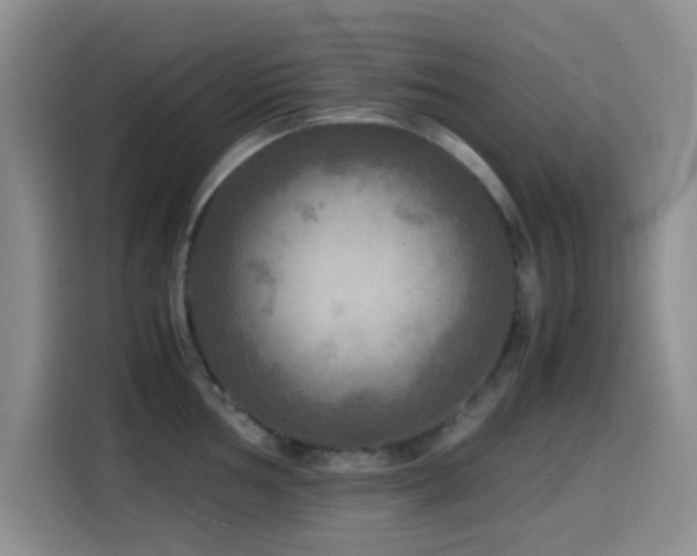 X0000114561002200910191428