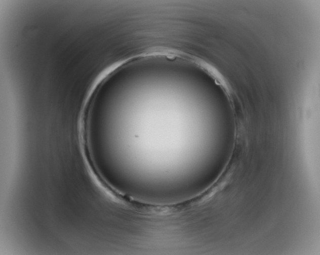 X0000114561003200910191428