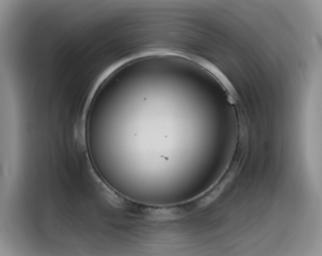 X0000114561004200910191428