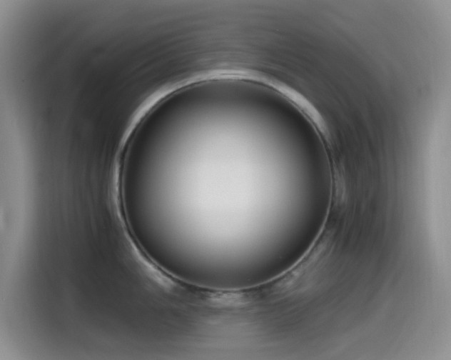 X0000114561006200910191428