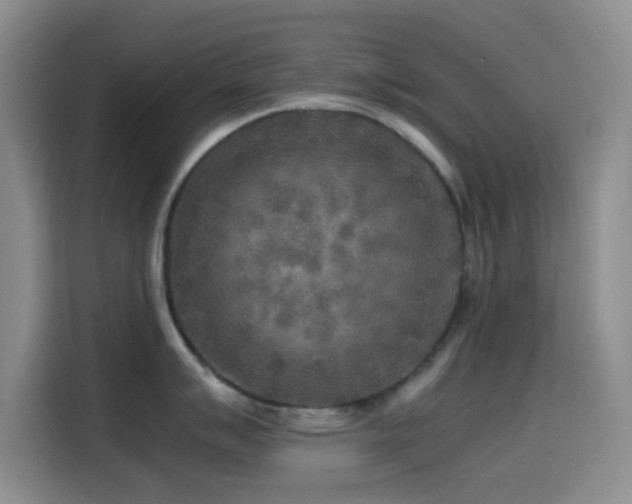 X0000114561007200910191427