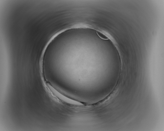 X0000114561008200910191427