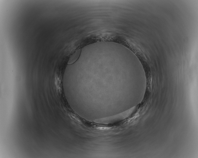 X0000114561010200910191427