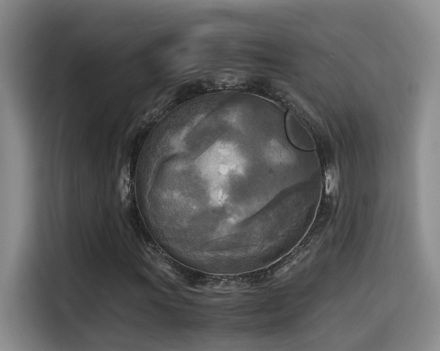 X0000114561011200910191427