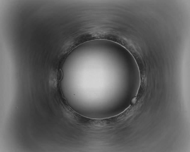 X0000114561012200910191427