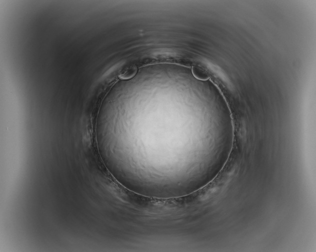 X0000114561015200910191427