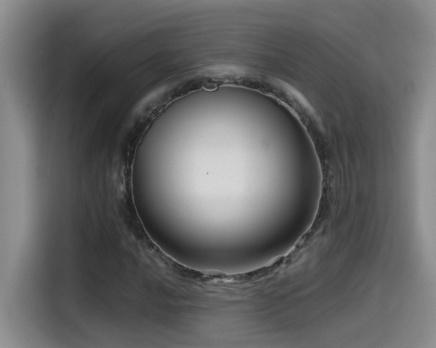 X0000114561016200910191427
