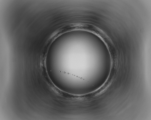 X0000114561017200910191427