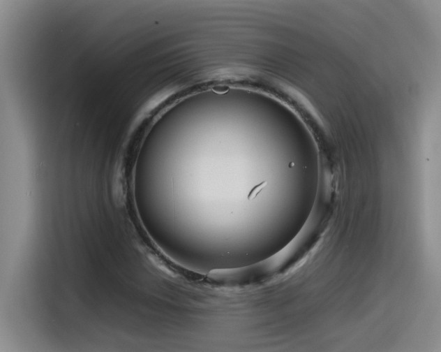 X0000114561018200910191427